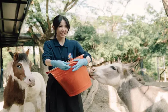 电影剧照