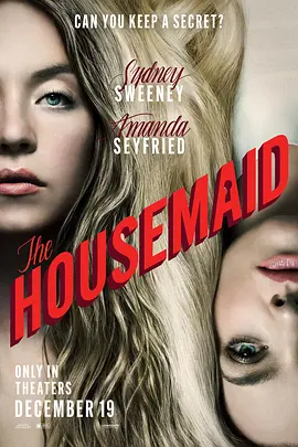 家弑服务 The Housemaid