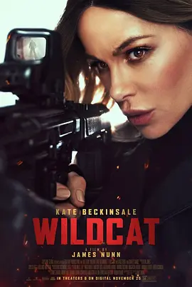 限时营救 Wildcat